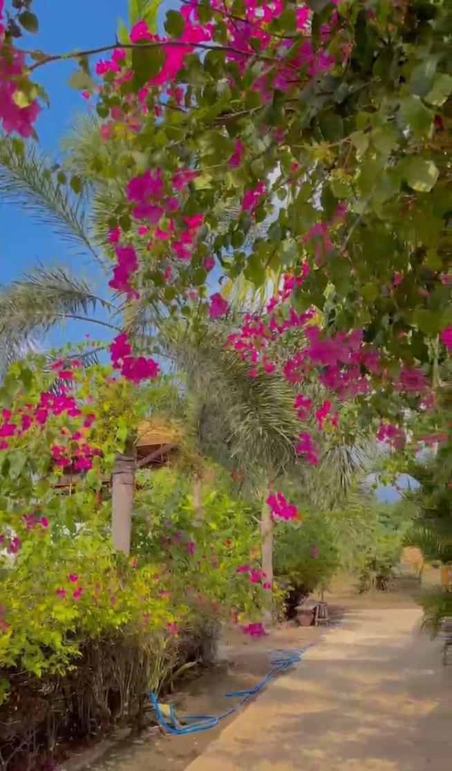 Sea Breeze Villas - Gili Air, Lombok Zewnętrze zdjęcie